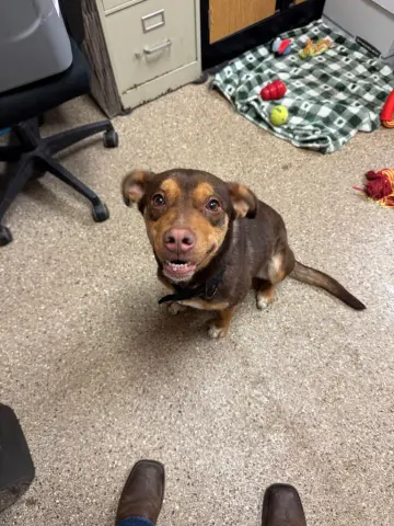 Tinkerbell thumbnail 2