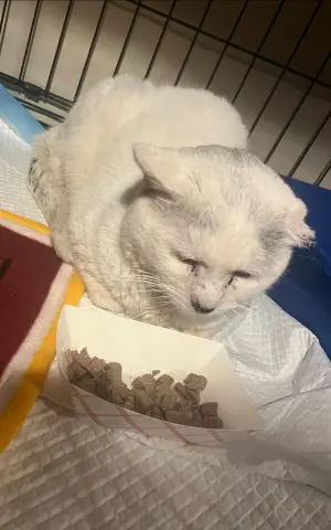 Concrete thumbnail 2