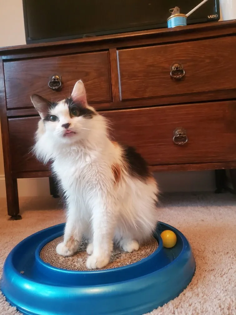 Sabrina Mae - Photo 2