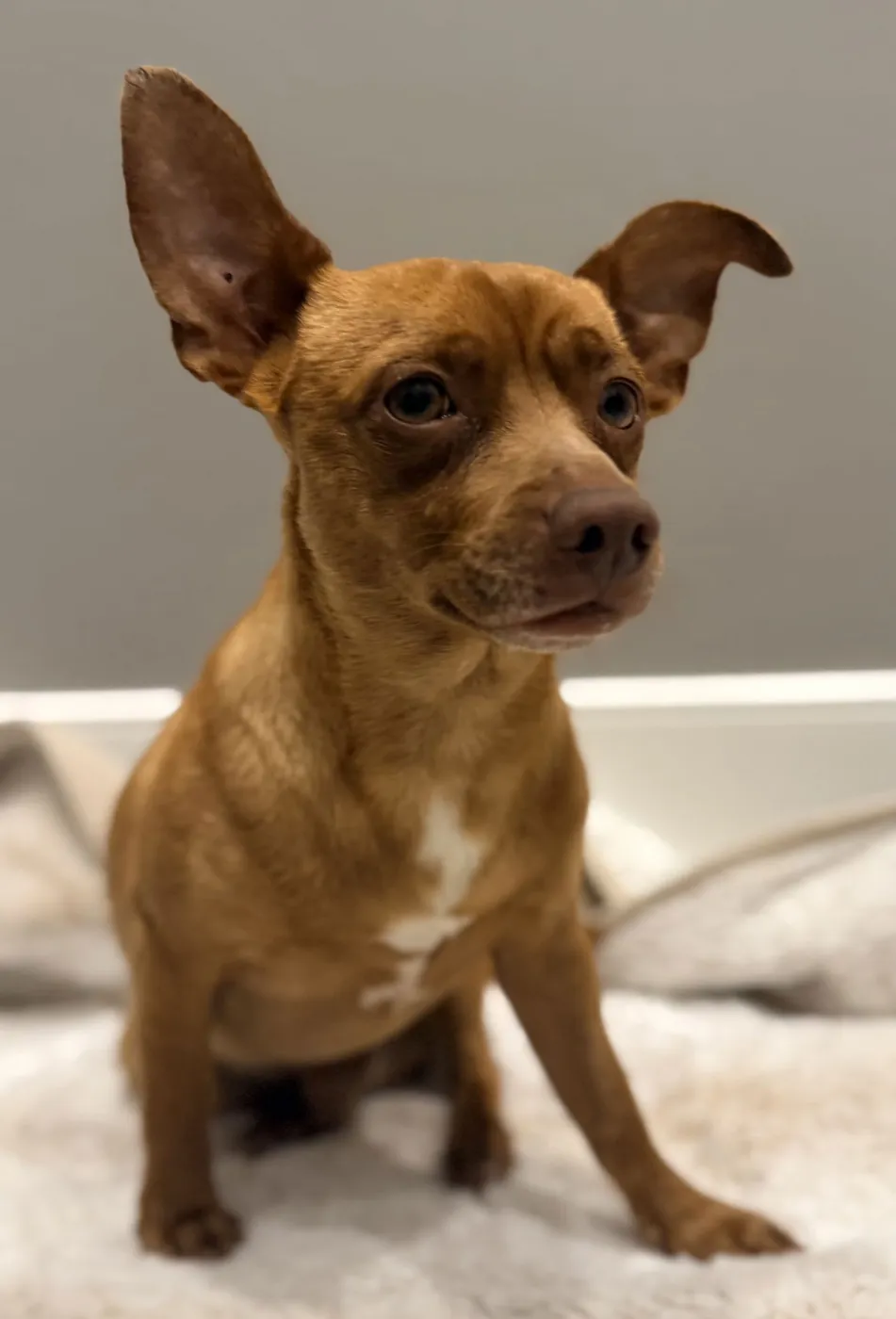 John Wayne - Photo 1