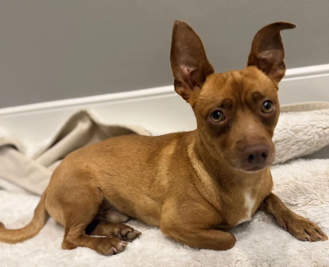 John Wayne - Photo 2