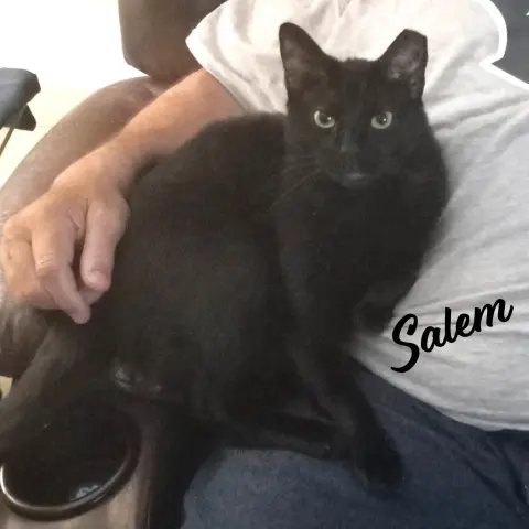 Salem