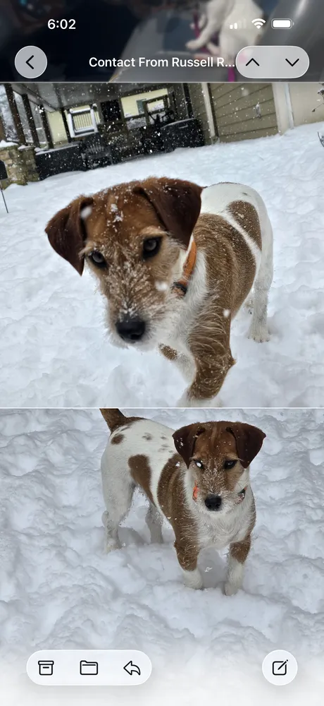 Yen & Yang - Photo 1