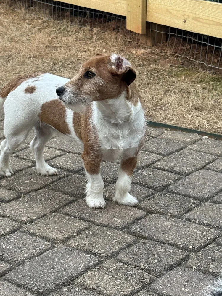 Yen & Yang - Photo 2