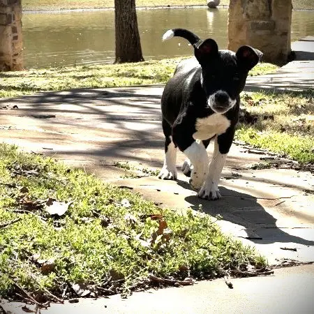 Freckles thumbnail 2