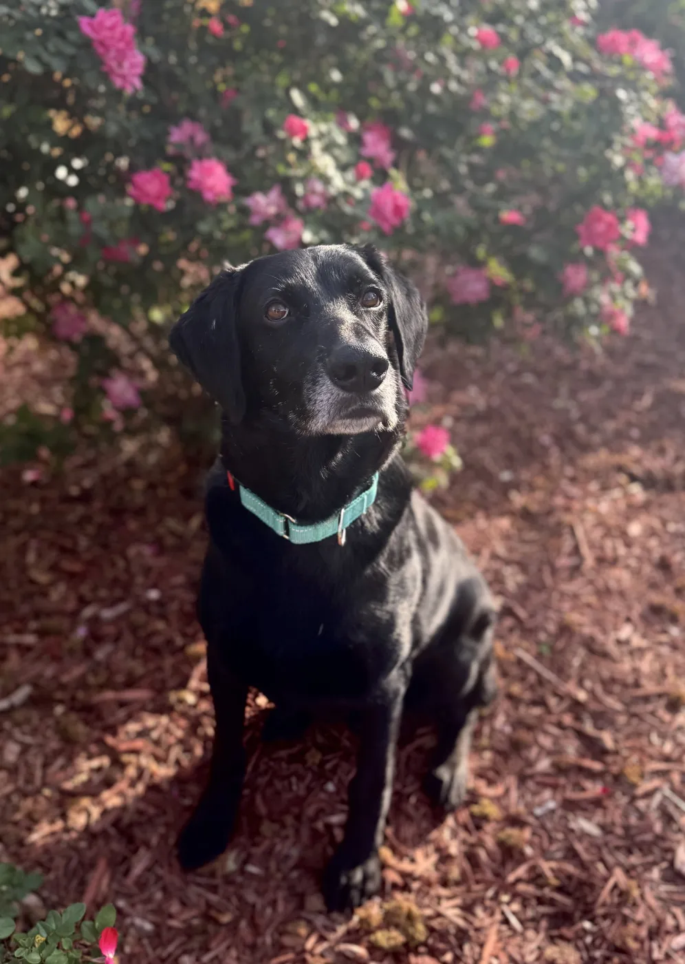 King Arthur - Photo 1