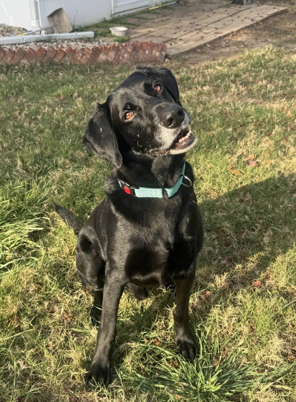 King Arthur - Photo 2