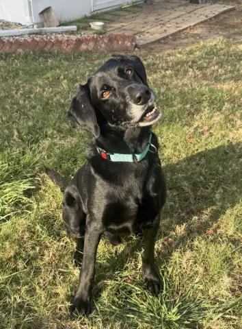 King Arthur thumbnail 2