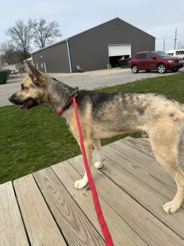 Kingston thumbnail 2