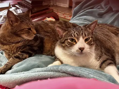 Baby Boy thumbnail 2