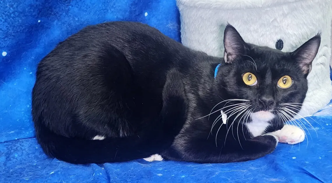 Tucker Rayland - Photo 2