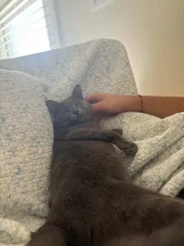 Moonstone thumbnail 2