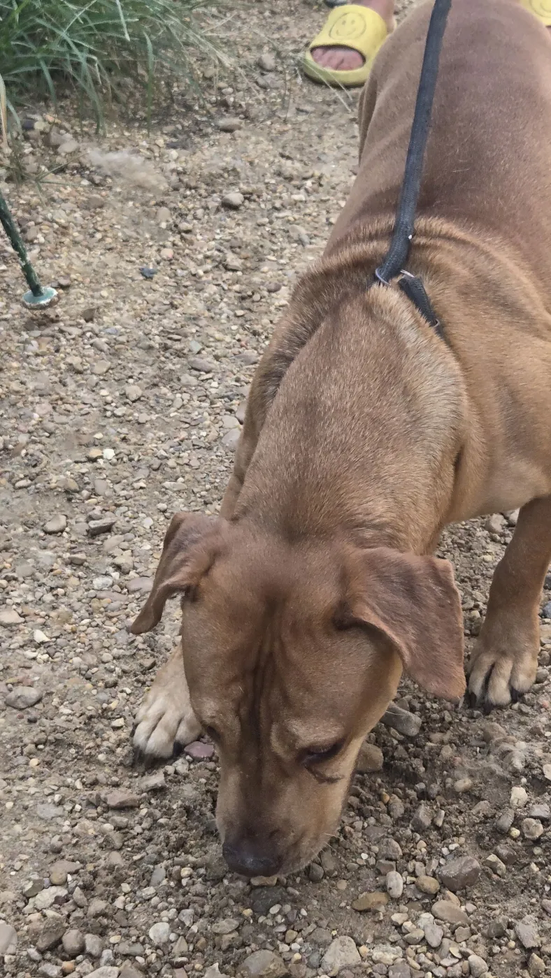 Butch Cassidy - Photo 3