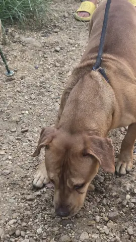 Butch Cassidy thumbnail 3