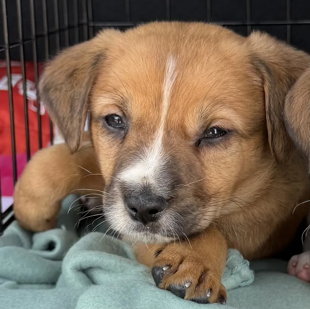 Jean-Ralphio - Photo 1