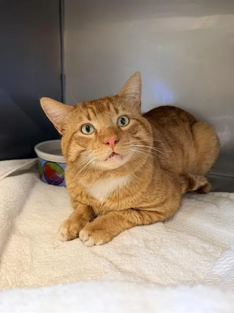 Paddington - Photo 1