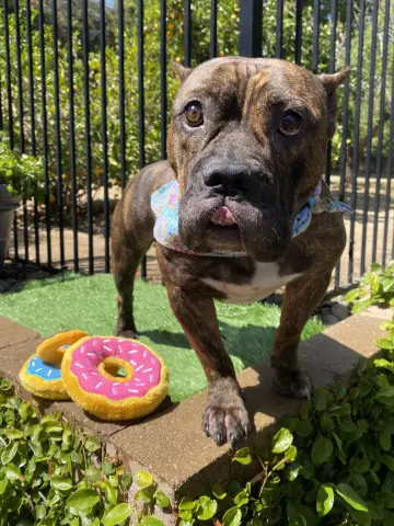 Franklin thumbnail 2