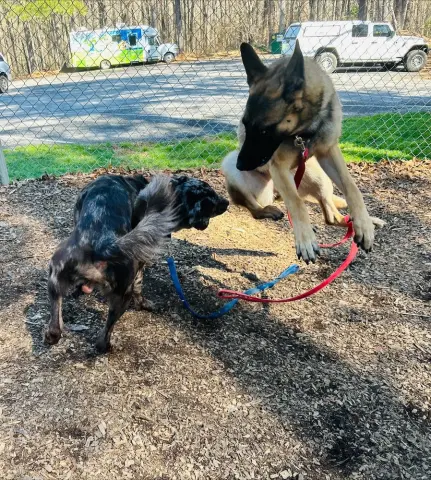 Charlotte thumbnail 2