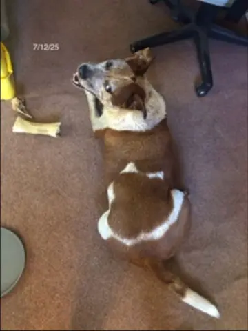 Treasure thumbnail 3