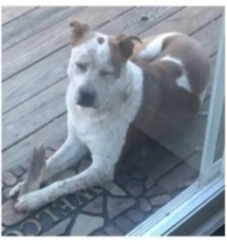 Treasure thumbnail 4