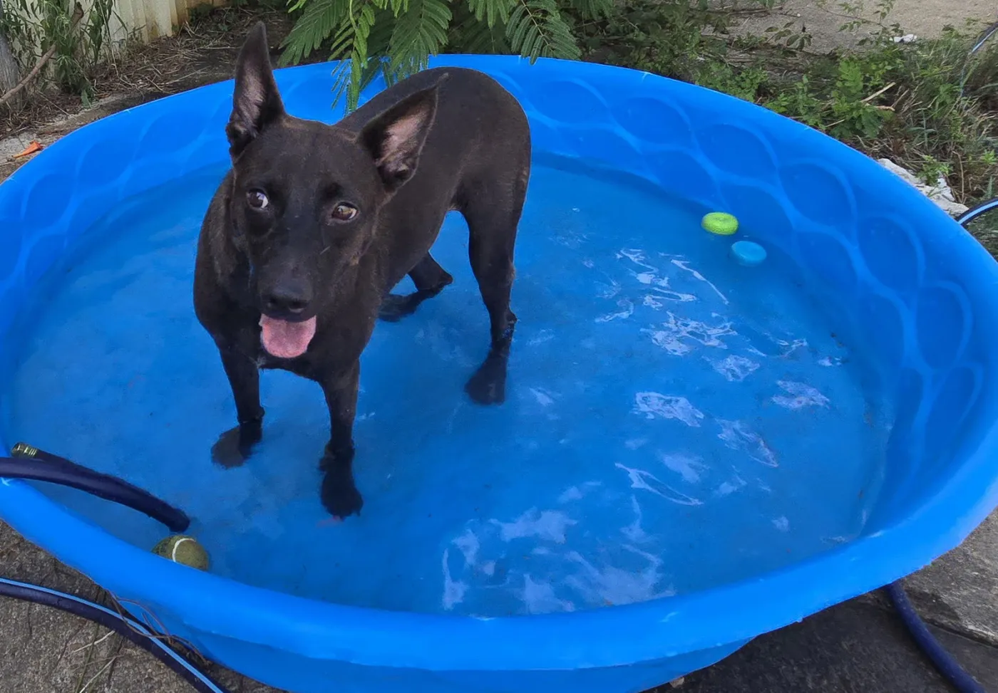 Casey Jones - Photo 1