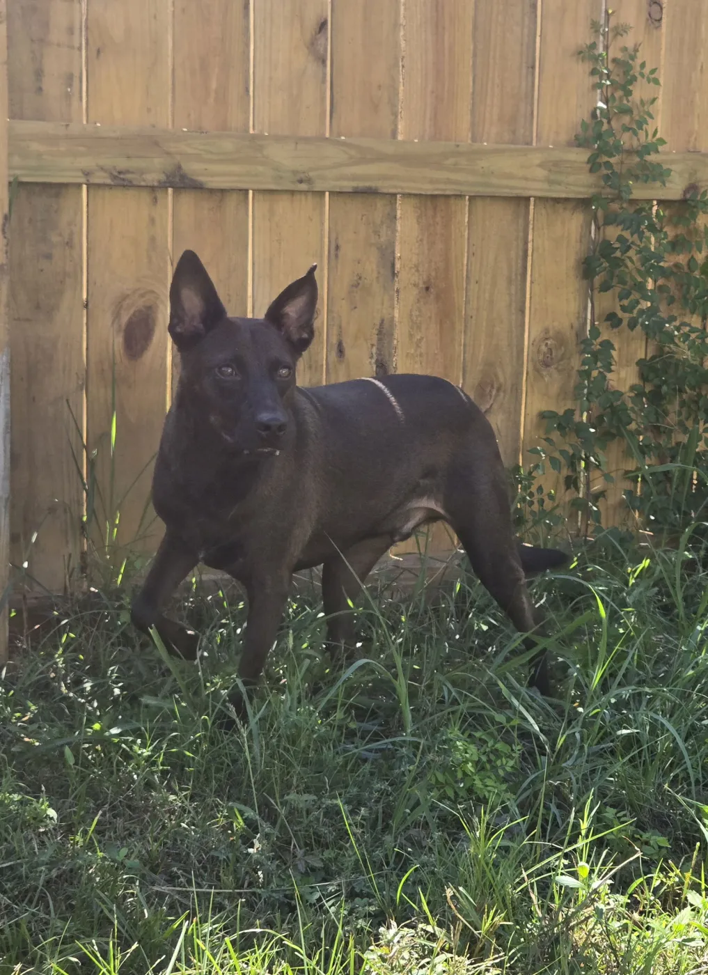 Casey Jones - Photo 2