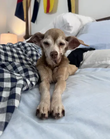 Peggy Lee thumbnail 2