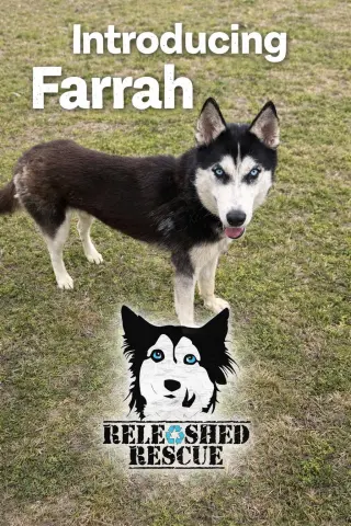 Farrah