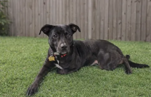 Charlotte thumbnail 3