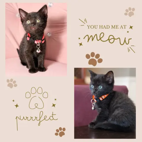 Mama Cleopatra thumbnail 2