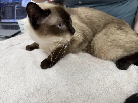 Sammy Lewhiskers thumbnail 2