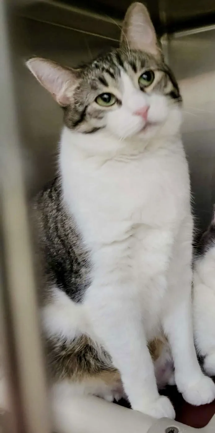 Furby & Emmett - Photo 4