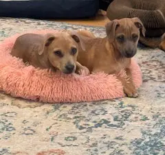 Smithers thumbnail 2