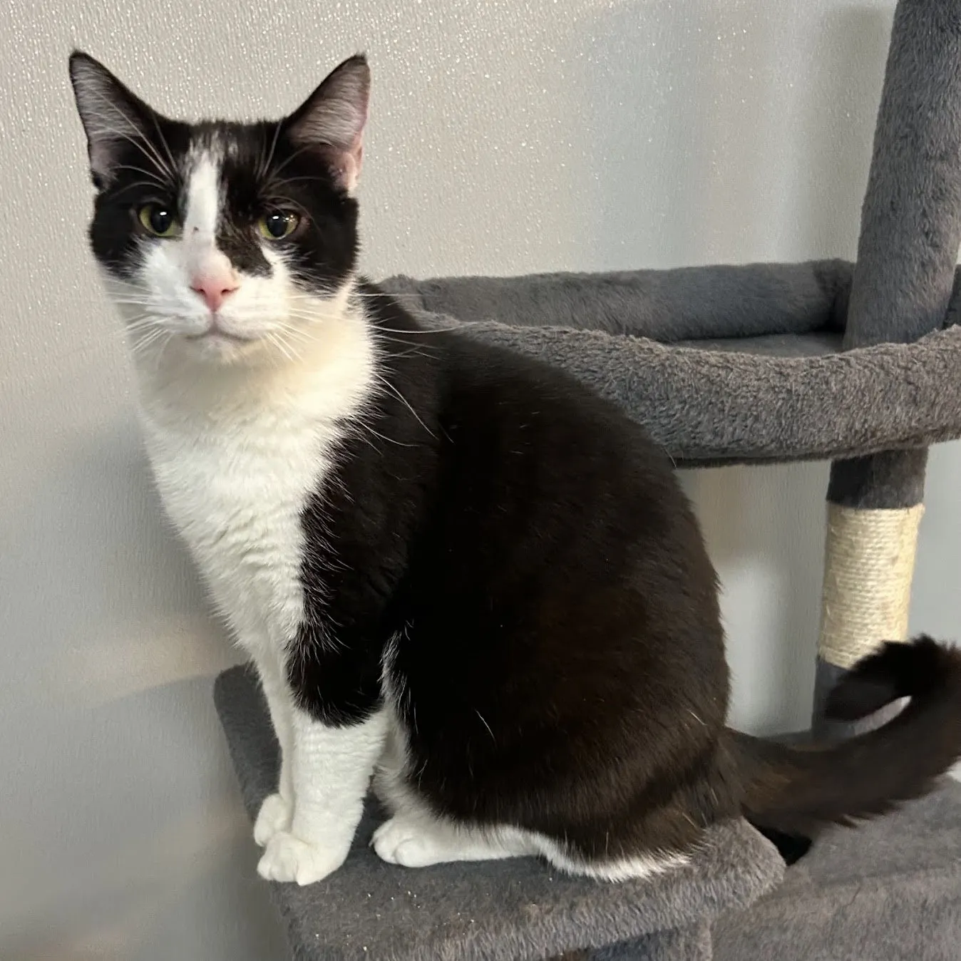 Mr. Butters - Photo 1