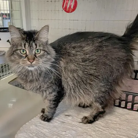 Wednesday thumbnail 2