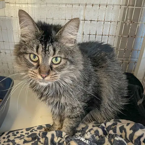 Wednesday thumbnail 3