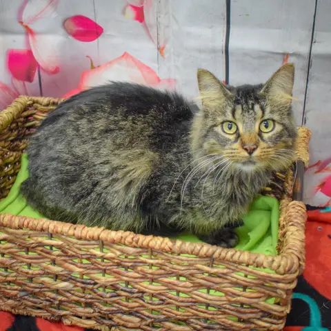 Wednesday thumbnail 5