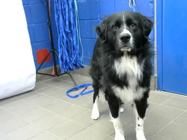 Fang Riley Baker - Photo 1