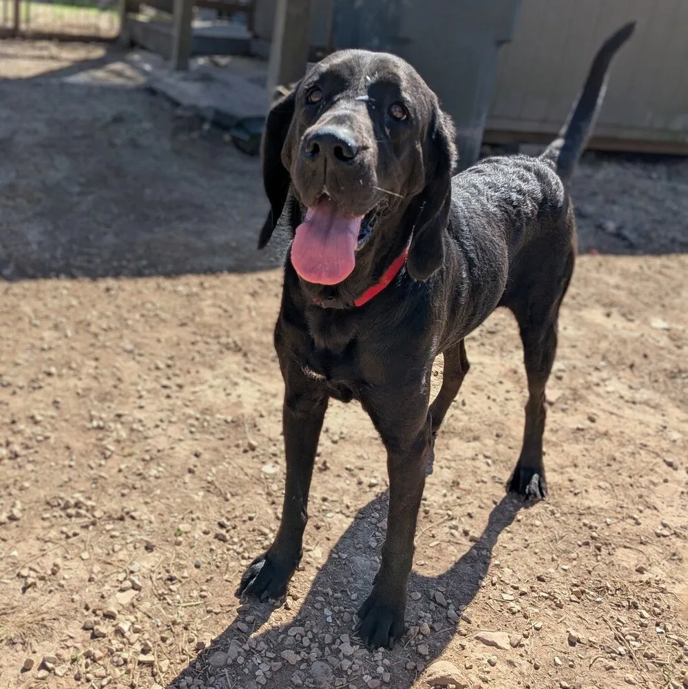 Maggie Mae - Photo 2