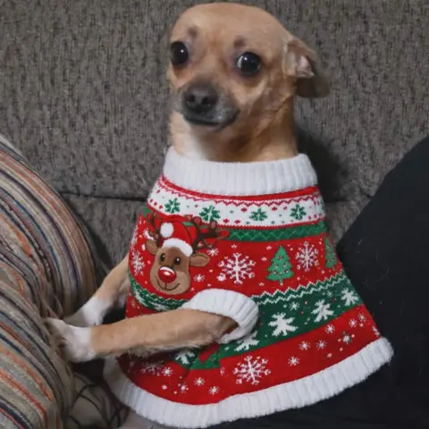 Clarabella thumbnail 2