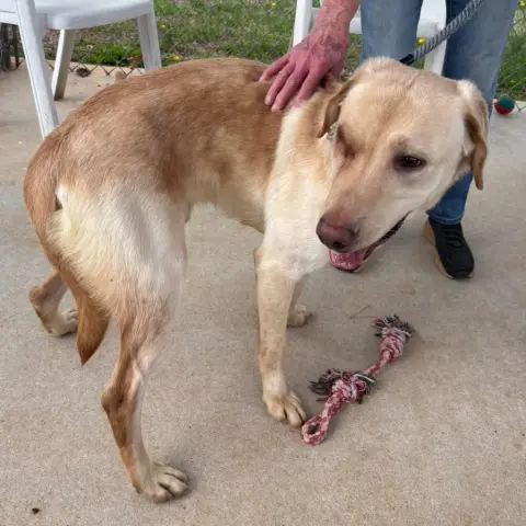 Kingsley thumbnail 2