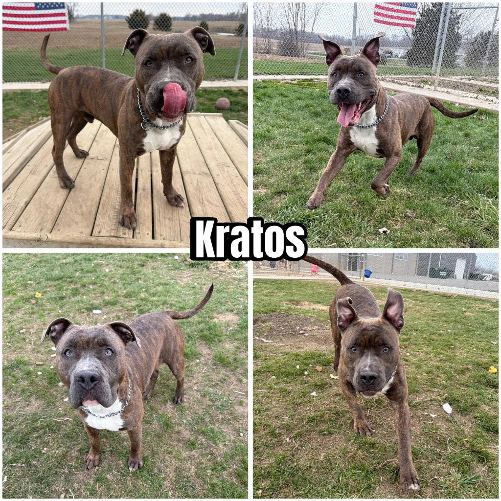 Kratos - Photo 1