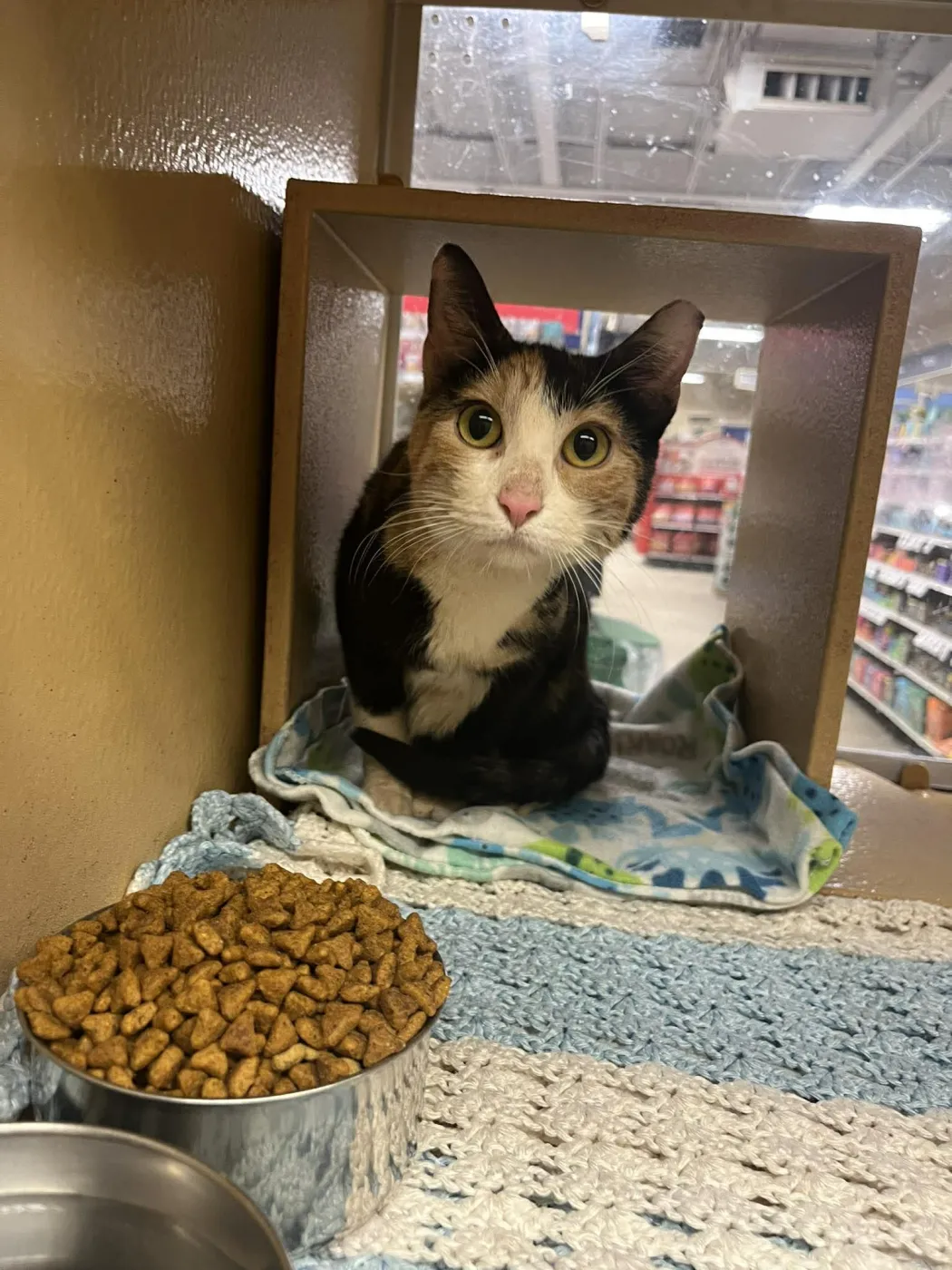 Strawberry Fields - Photo 1