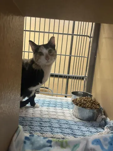 Strawberry Fields thumbnail 2