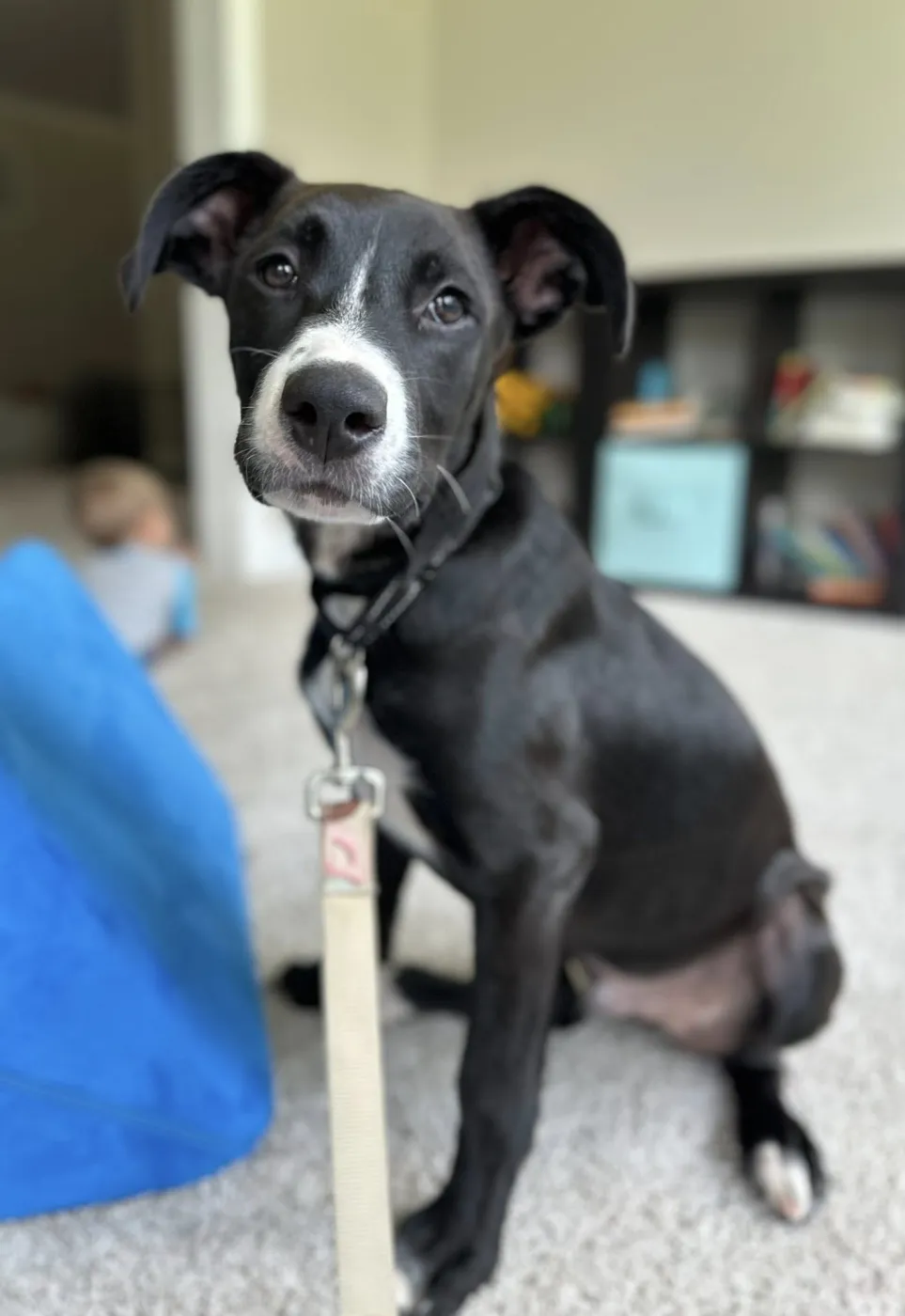 Ghirardelli - Photo 3