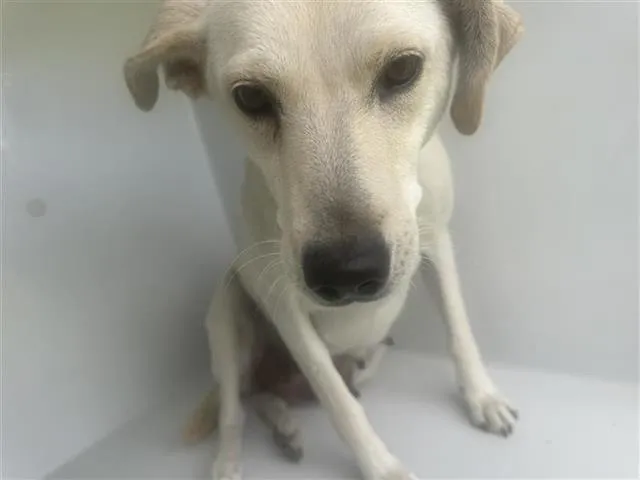 No Name Provided - Photo 1