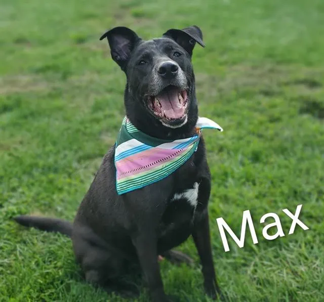 Max - Photo 1