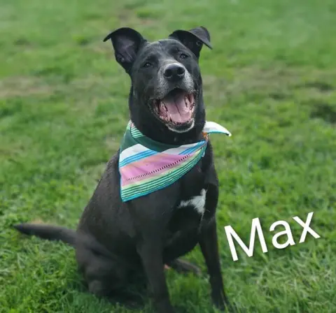 Max