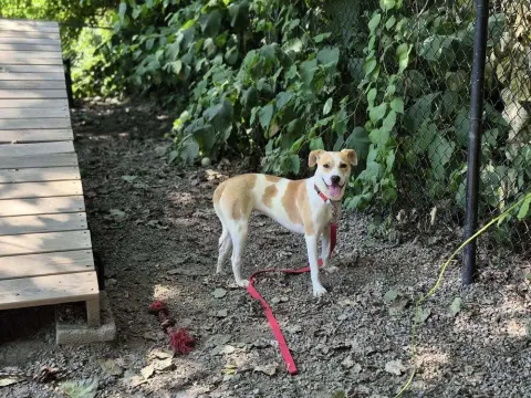 Marshmello thumbnail 2