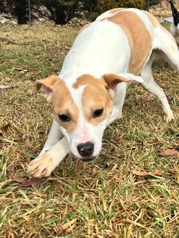 Marshmello thumbnail 3